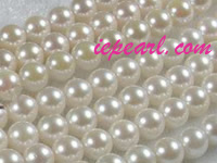 16-inch 5.5-6mm AA+ white Akoya pearl strands