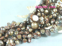 coffee blister freshwater pearl strand