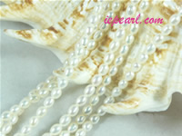 ivory white 2-2.8mm rice freshwater pearl strand