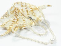 white, pink, black single strand pearl necklace wholesale online