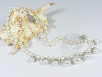 wholesale white freshwater pearl & shell pearl necklace