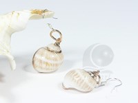 10mm sterling shell earrings with 925 sterling silver hook