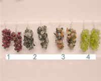 3cm Gemstone beads sterling dangling earring